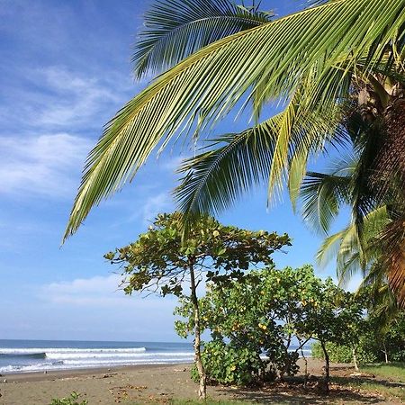 Guava Lodge Playa Matapalo Exterior photo