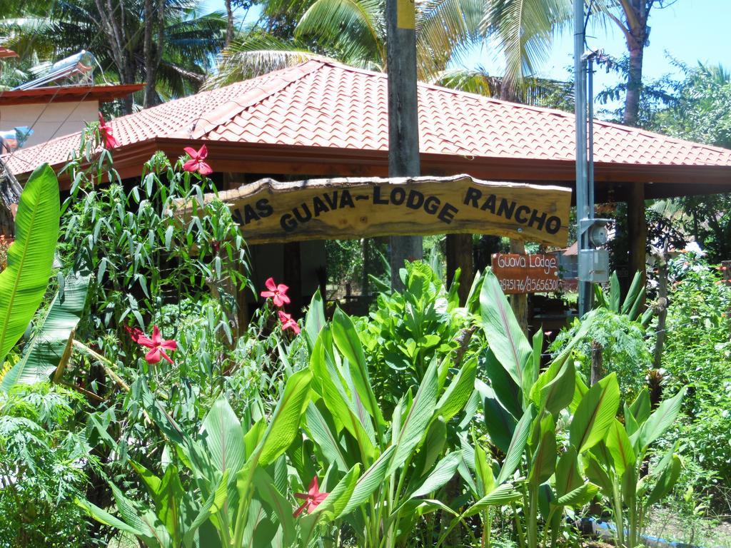 Guava Lodge Playa Matapalo Exterior photo