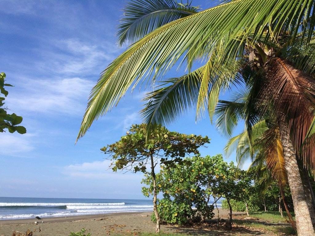 Guava Lodge Playa Matapalo Exterior photo