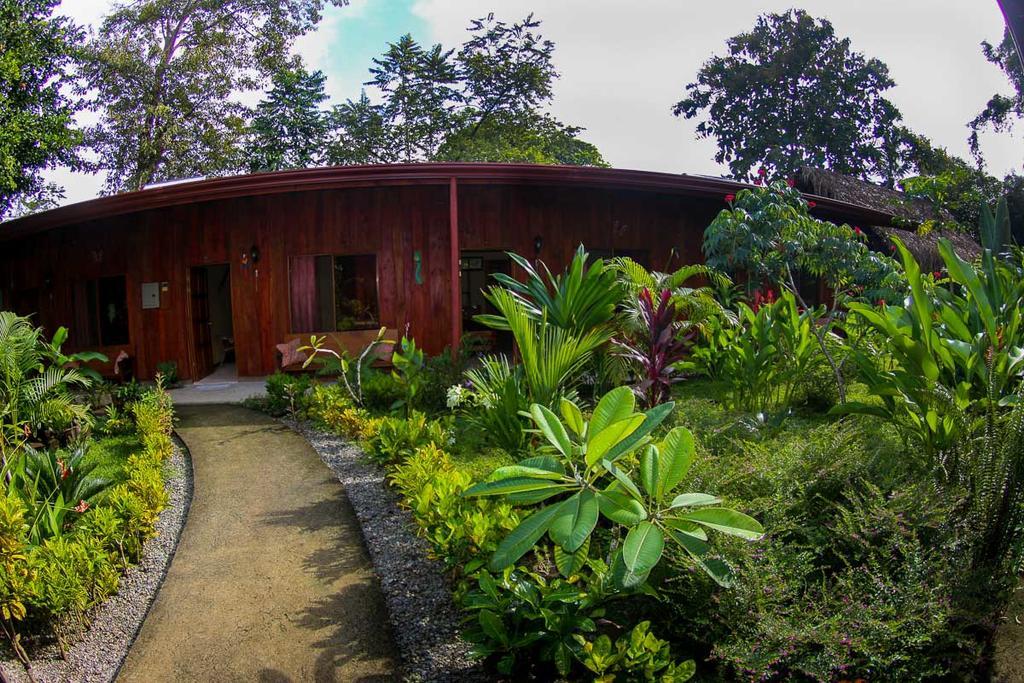 Guava Lodge Playa Matapalo Exterior photo